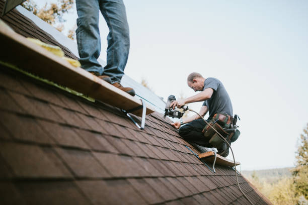 Quick and Trustworthy Emergency Roof Repair Services in South Laurel, MD
